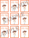 Teaching Hebrew with cards - Introducing objects (Group 13) - 4