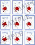 Teaching Hebrew with cards - Colors 1 (Group 17) - 4