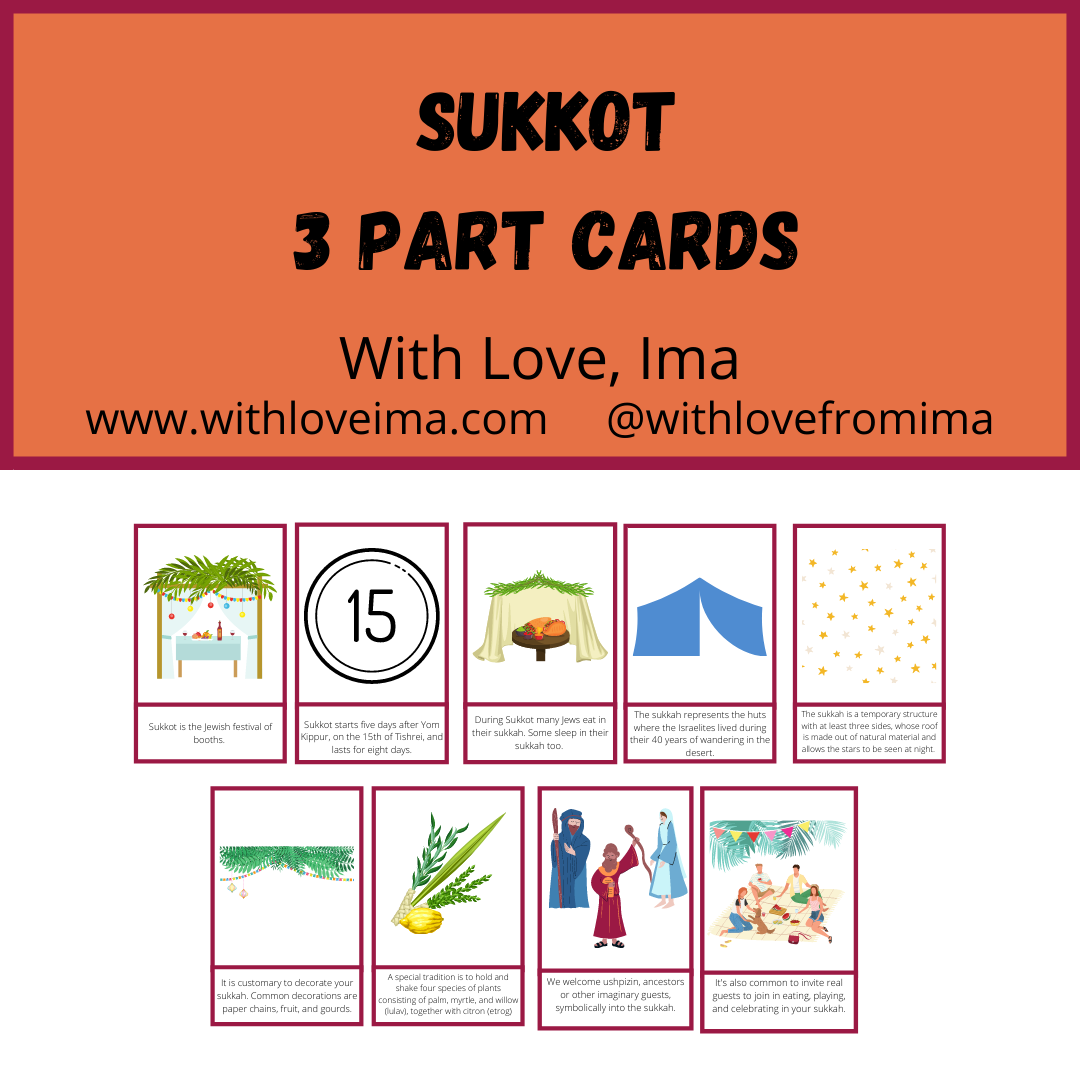 67b86a8d342ac57cc6dbae29_sukkot-3-part-cards-cover-copy_1756767993041.png