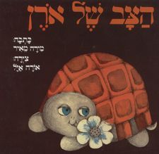 הצב של אורן קשה